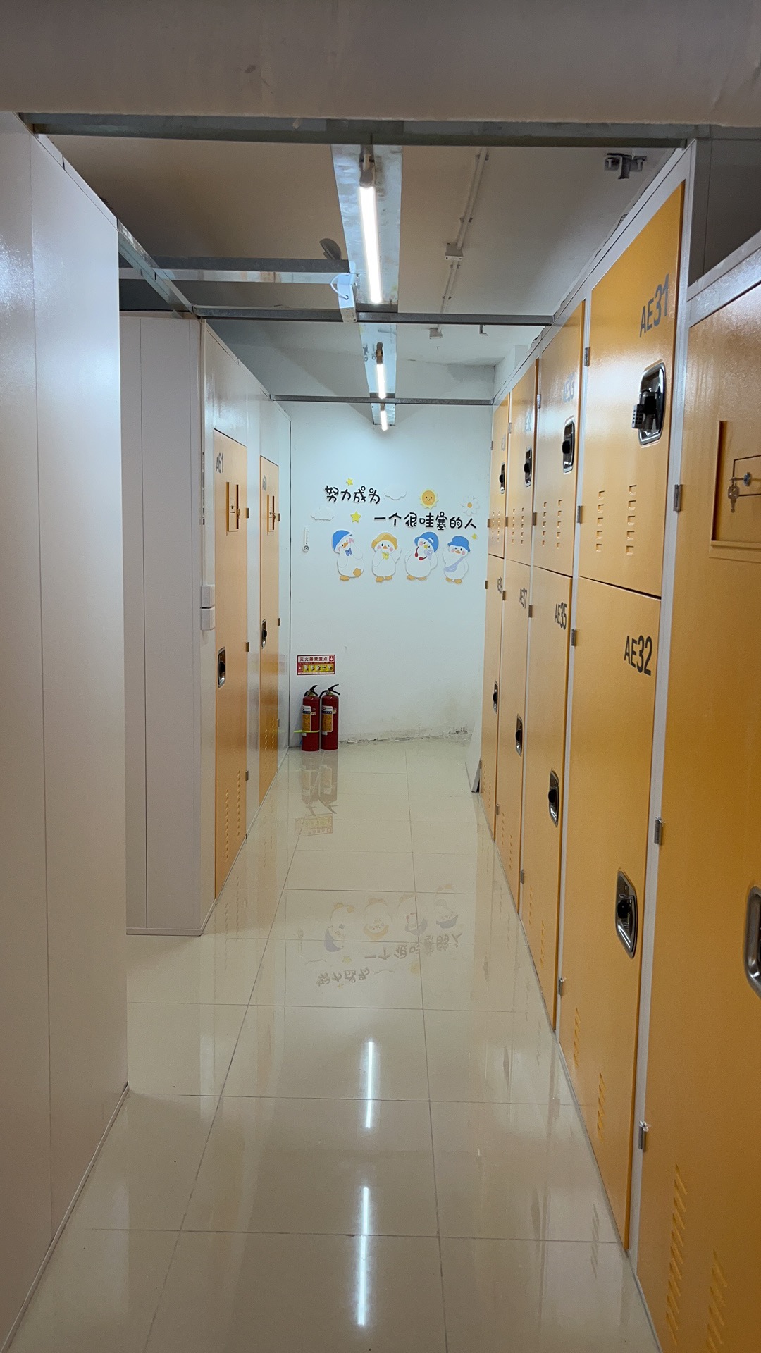 1698312738113836.jpg 9.jpg